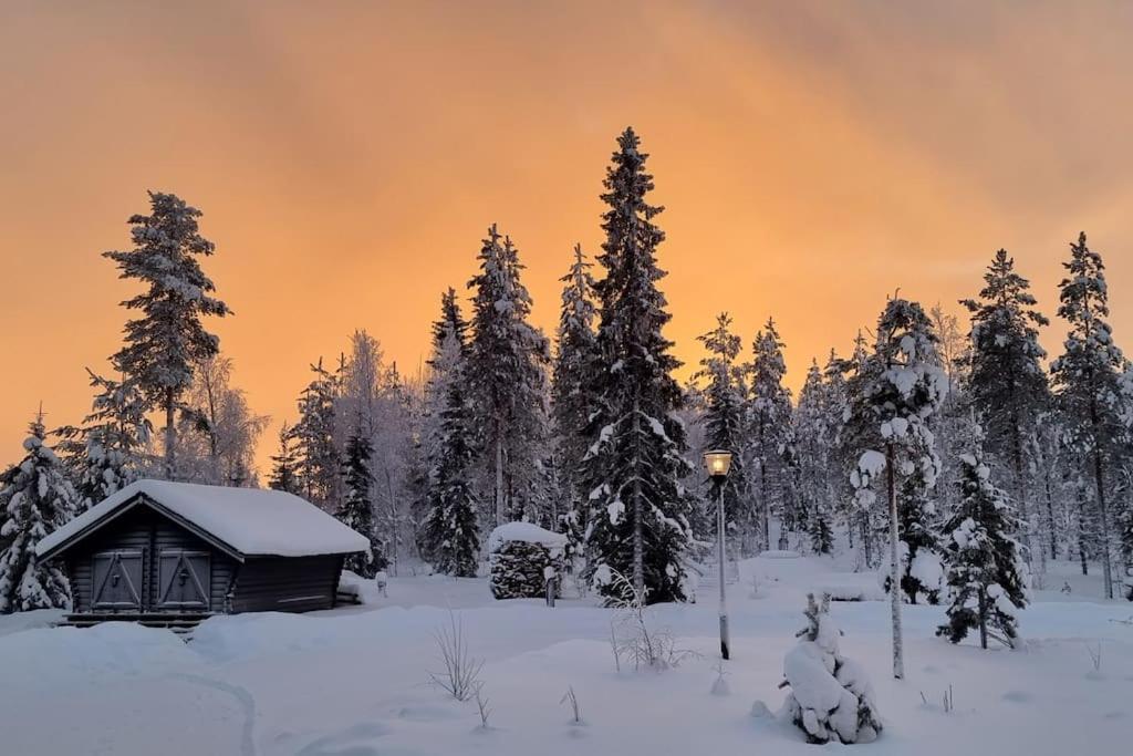 Huvila Eraemaajaerven Rannalla Taivalkoskella Jokijärvi Exterior foto