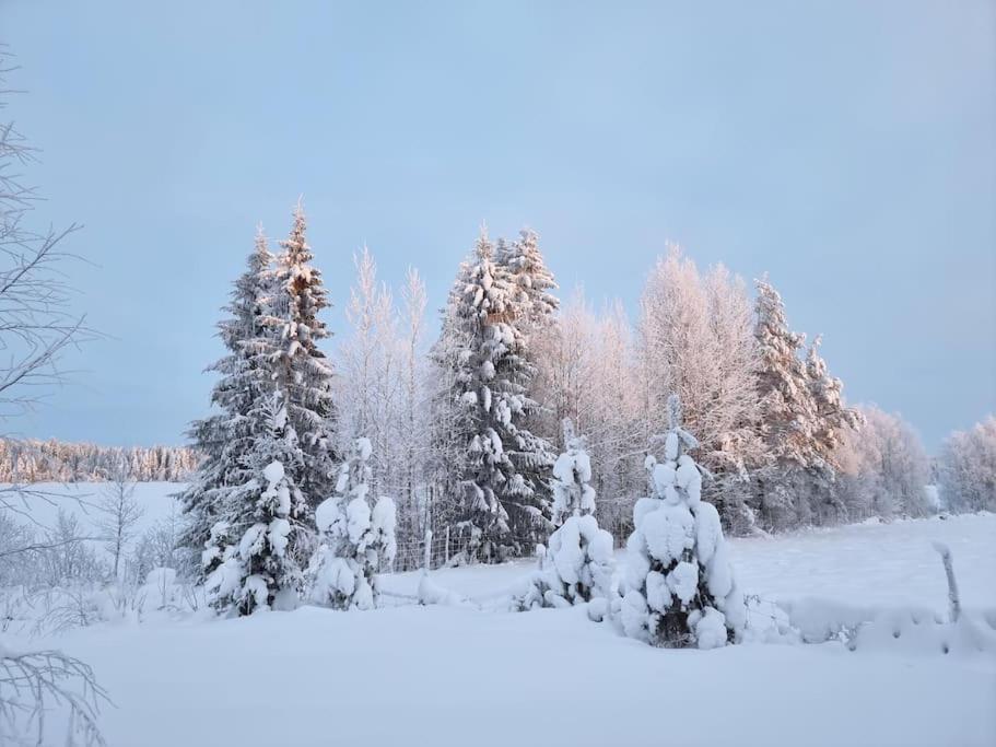 Huvila Eraemaajaerven Rannalla Taivalkoskella Jokijärvi Exterior foto