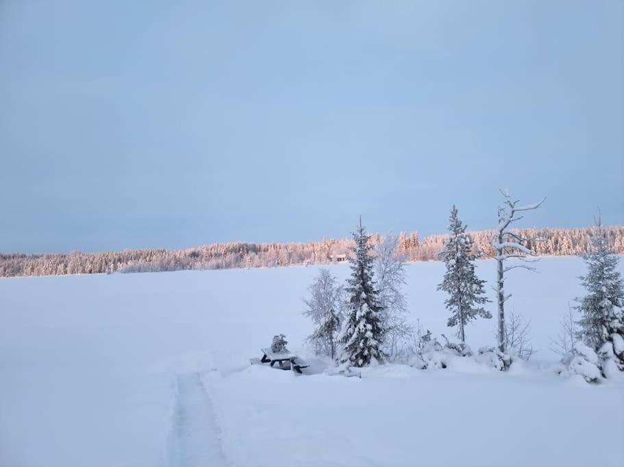 Huvila Eraemaajaerven Rannalla Taivalkoskella Jokijärvi Exterior foto