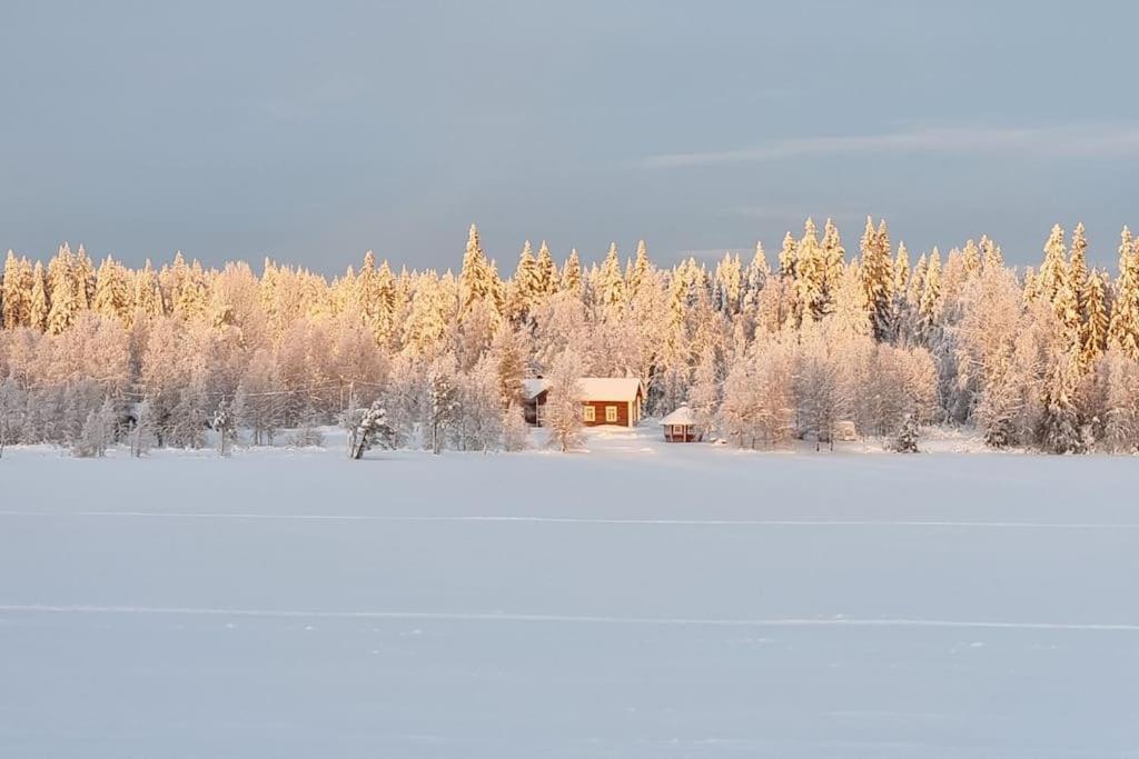 Huvila Eraemaajaerven Rannalla Taivalkoskella Jokijärvi Exterior foto