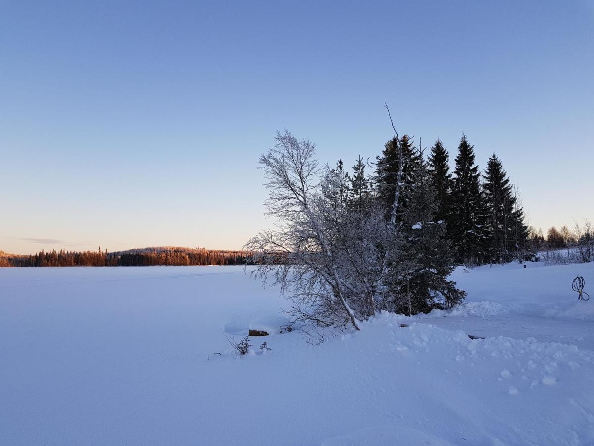 Huvila Eraemaajaerven Rannalla Taivalkoskella Jokijärvi Exterior foto
